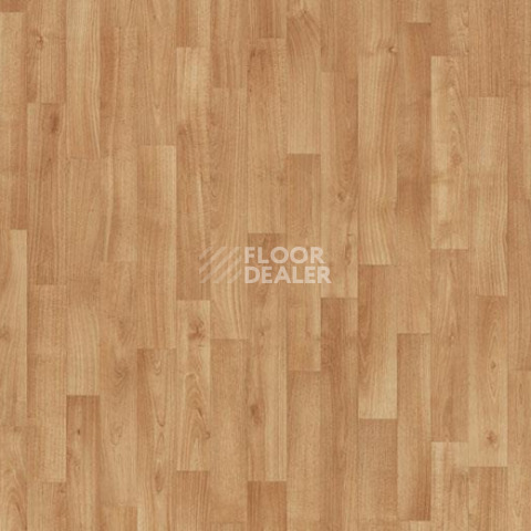 Линолеум Forbo Eternal Wood 11162 tropical beech фото 1 | FLOORDEALER